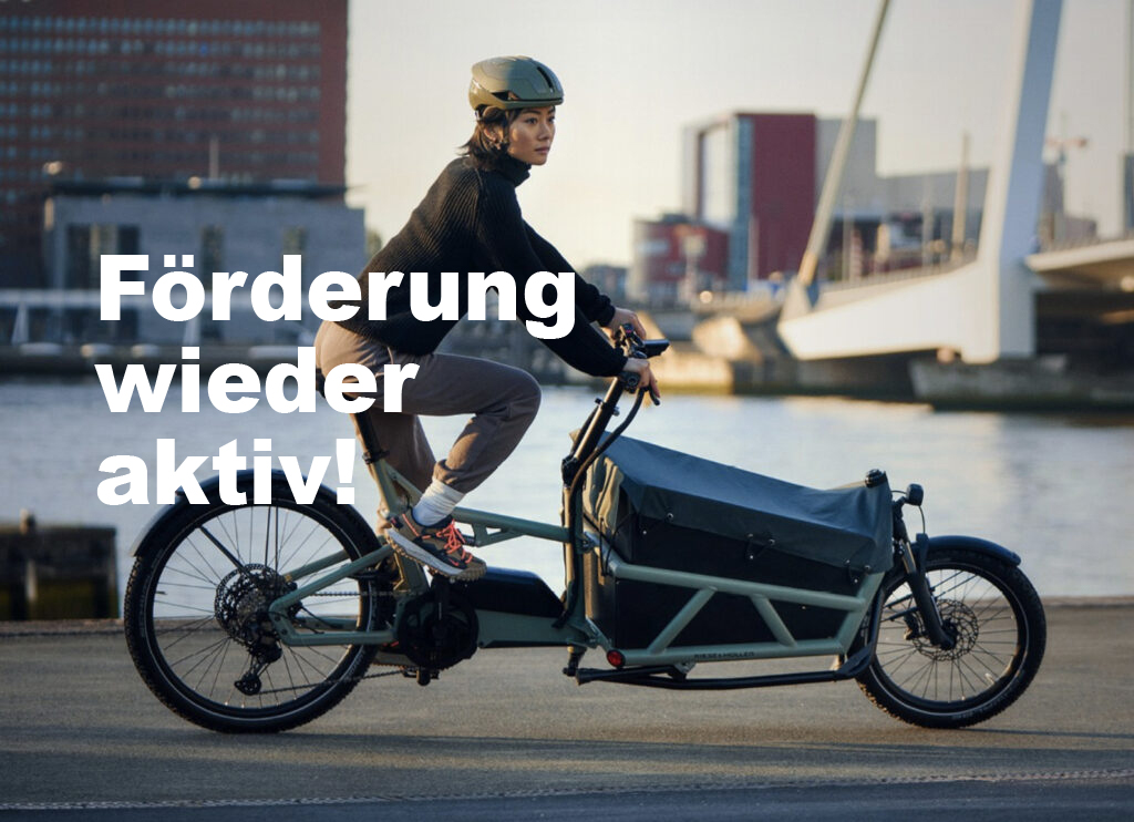 Förderung Lastenrad